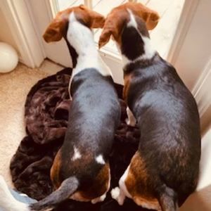 Meet your Posher, Byron